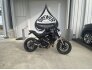 2018 Ducati Monster 797 for sale 201219473